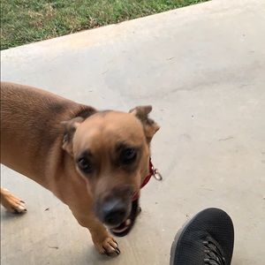 Meet your Posher, Gary